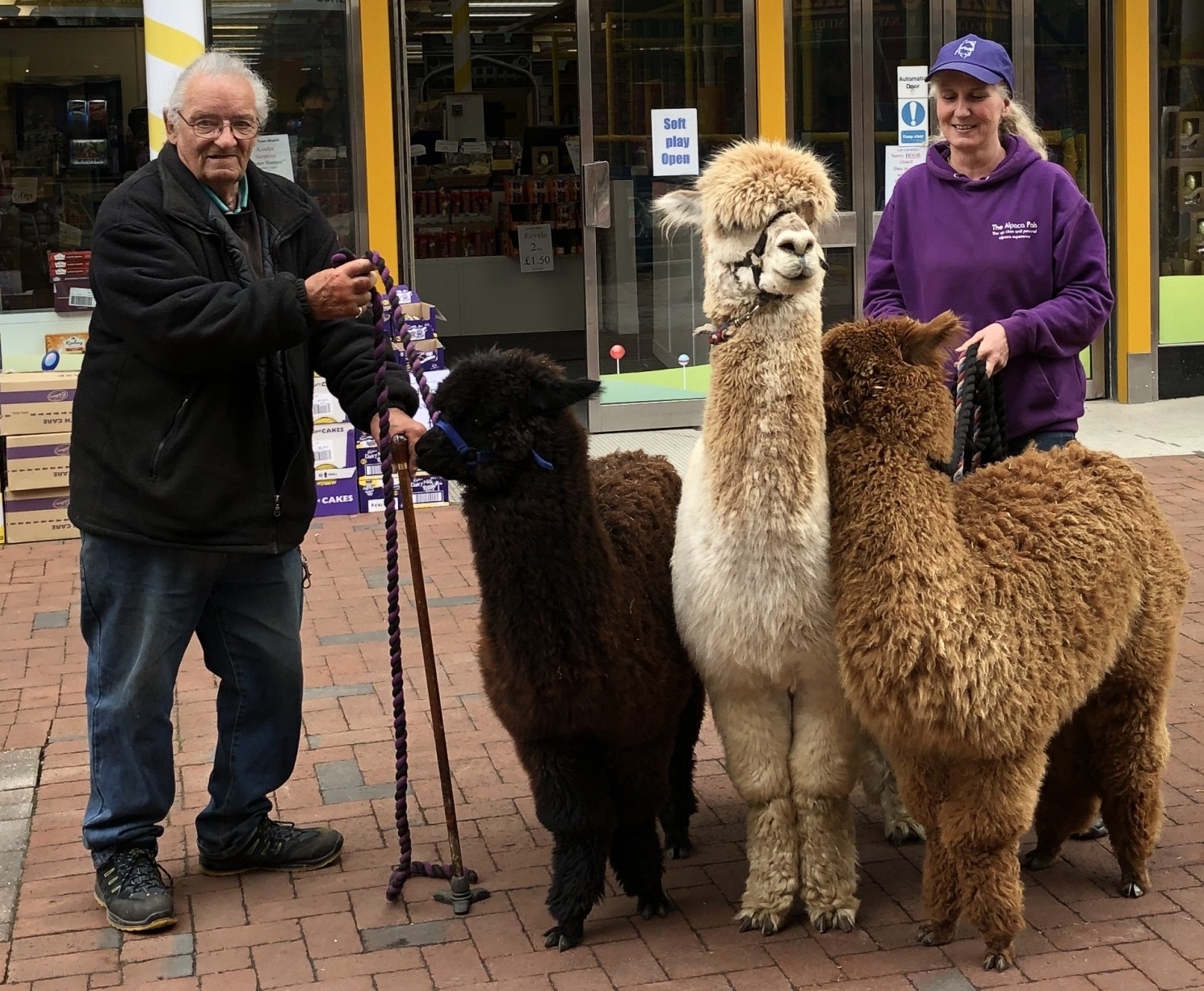 The Yum Yum World store welcomes The Alpaca Pals to their shop